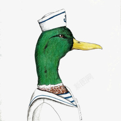 穿衣服的鸭子彩绘鸭子图案高清图片