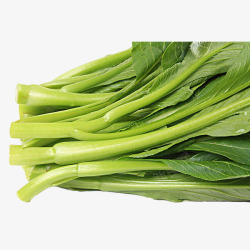 家常菜小白菜一把新鲜绿色健康有机菜心特写免高清图片