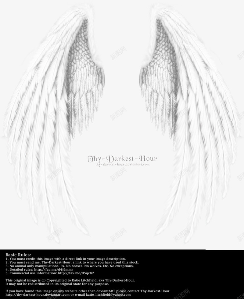 翅膀天使的翅膀实物png免抠素材_新图网 https://ixintu.com 天使的翅膀 实物 翅膀