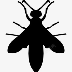 轮廓的翅膀黄蜂的剪影图标高清图片
