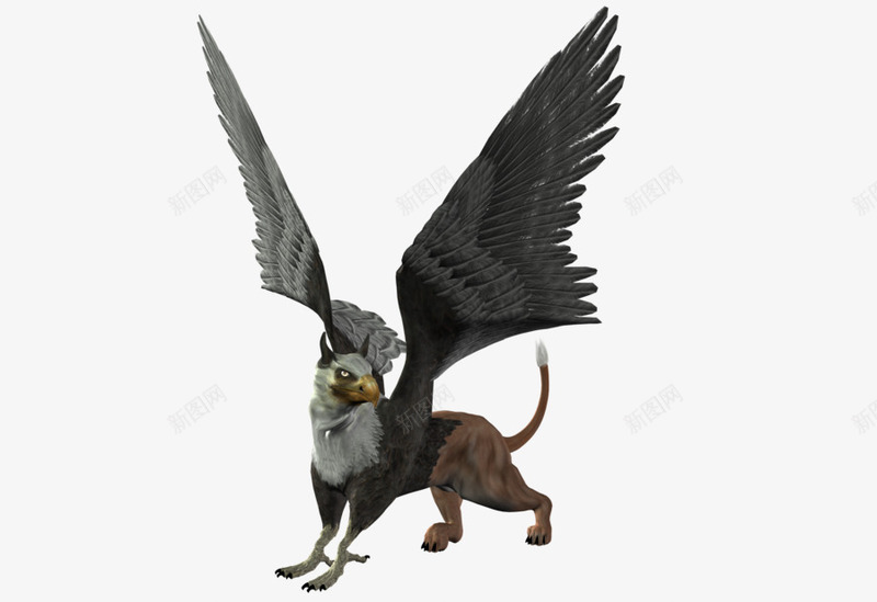 展翅的狮鹫png免抠素材_新图网 https://ixintu.com 狮鹫 神话 翅膀