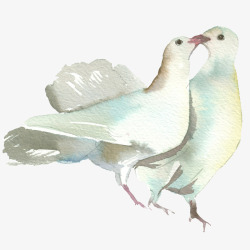 白色鸟儿手绘接吻的鸽子图高清图片