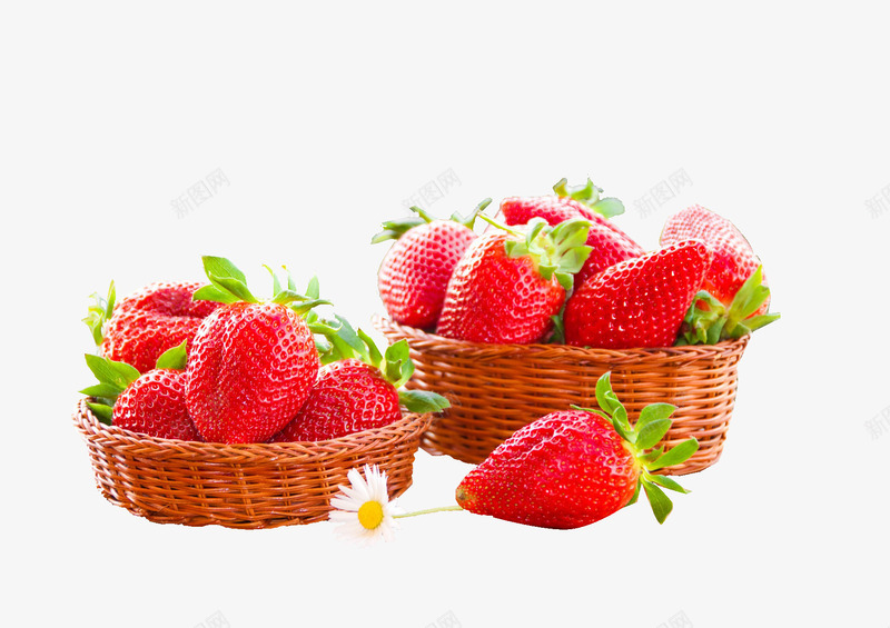 俩竹篮草莓png免抠素材_新图网 https://ixintu.com 新鲜 水果 竹篮 红色 草莓 雏菊