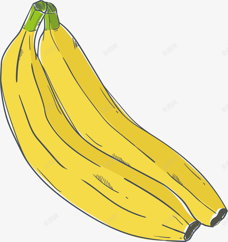 两根手绘香蕉矢量图eps免抠素材_新图网 https://ixintu.com 两根香蕉 手绘香蕉 新鲜香蕉 矢量素材 香蕉 矢量图