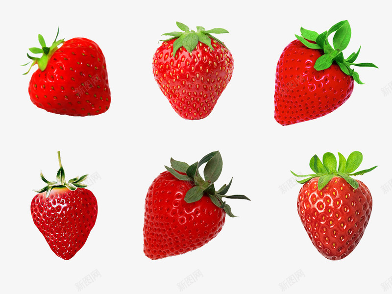 多样式的草莓png免抠素材_新图网 https://ixintu.com 新鲜 水果 红色 草莓