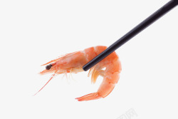 筷子夹烤虾虾高清图片