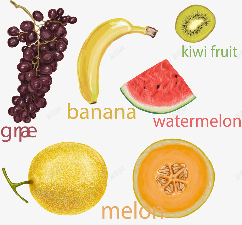 五种新鲜水果png免抠素材_新图网 https://ixintu.com 哈密瓜 猕猴桃 紫色葡萄 西瓜 香蕉