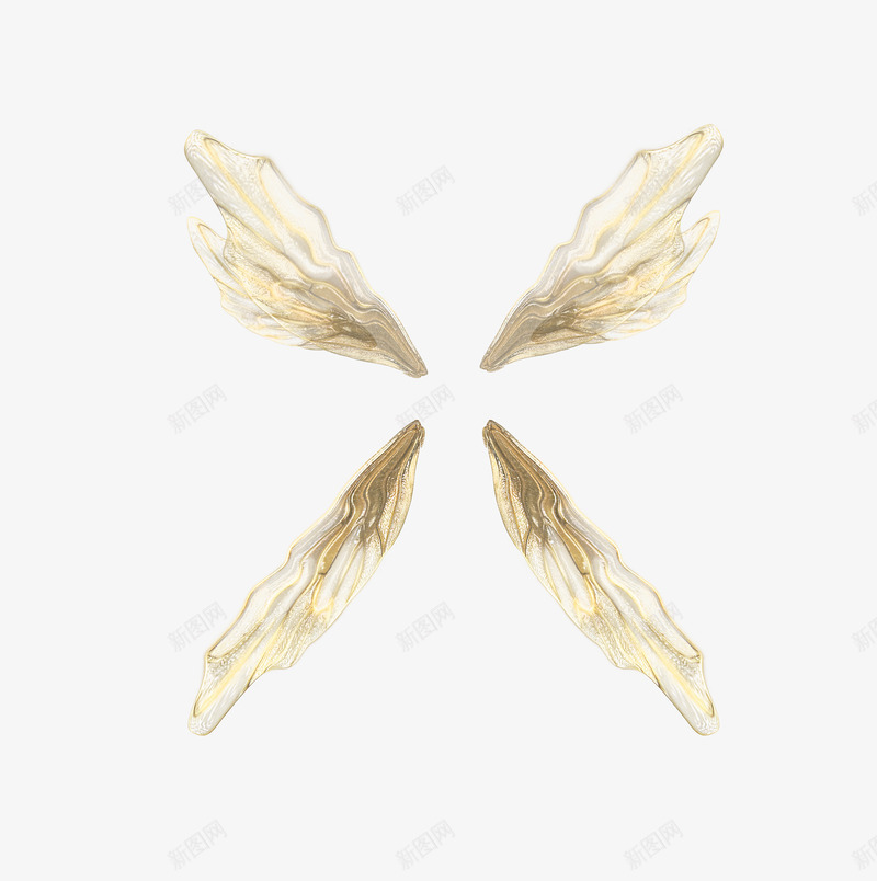翅膀透明装饰png免抠素材_新图网 https://ixintu.com 翅膀 装饰 透明