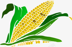 绿色食物玉米素材