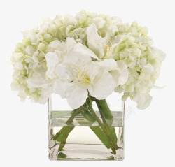 白色花卉装饰玻璃花瓶软装素材