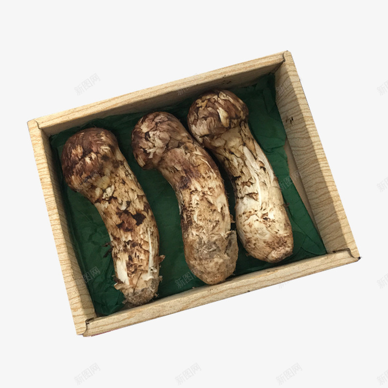 野生松茸png免抠素材_新图网 https://ixintu.com 剥皮松茸 新鲜 真菌菇 精选 蘑菇松茸 野生松茸 食用菌