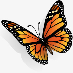 蝴蝶橙色翅膀图标png_新图网 https://ixintu.com 图标 橙色 翅膀 蝴蝶 设计