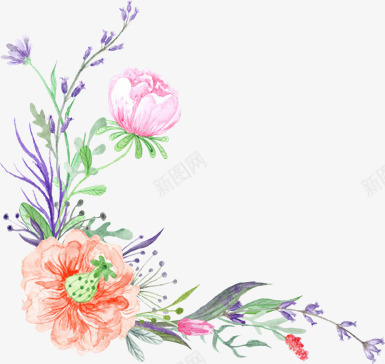 海报植物花朵涂鸦小清新png免抠素材_新图网 https://ixintu.com 植物 海报 涂鸦 清新 花朵