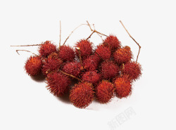 红毛果素材图片泰国红毛丹片高清图片