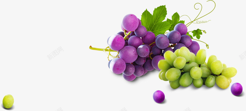 紫色和绿色葡萄png免抠素材_新图网 https://ixintu.com 素材 紫色 绿色 葡萄