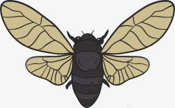 昆虫种类翅膀羽翼卡通蝉高清图片