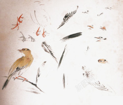 褐色花鸟芥子园画鸟高清图片
