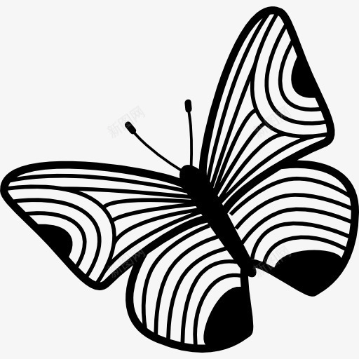 薄条纹翅膀的蝴蝶标图标png_新图网 https://ixintu.com 俯视图 动物 昆虫 条纹 薄 蝴蝶 设计