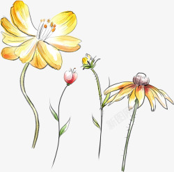 创意合成手绘黄色的菊花效果素材