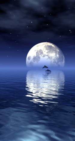 月亮海水素材