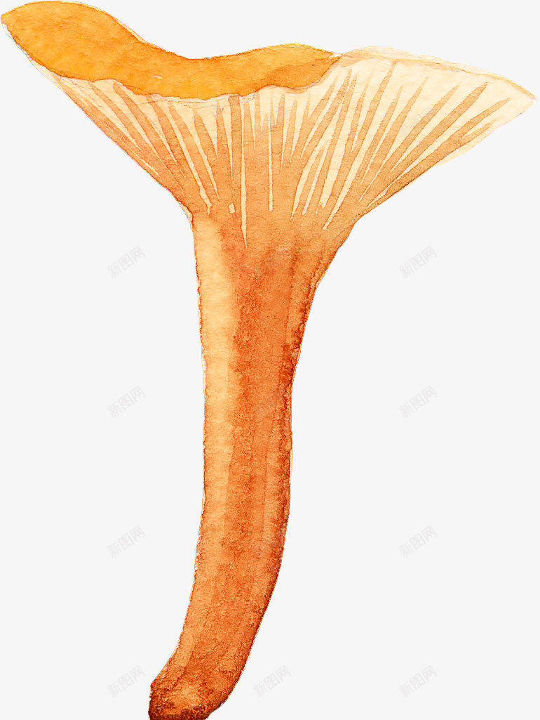 水彩漂亮蘑菇png免抠素材_新图网 https://ixintu.com 健康 儿童绘画 卡通蘑菇 可爱蘑菇 手绘蘑菇 插画 水彩蘑菇 菌类养生 蘑菇