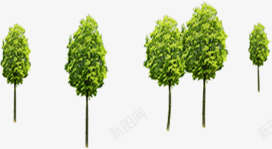 绿色模糊大树景观png免抠素材_新图网 https://ixintu.com 大树 景观 模糊 绿色