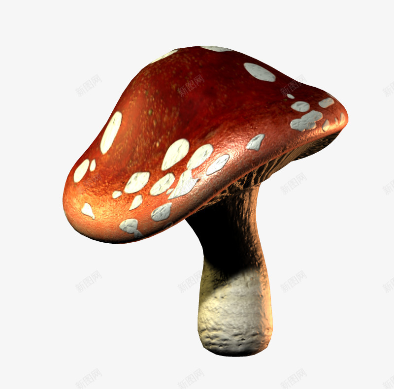 小蘑菇png免抠素材_新图网 https://ixintu.com 漂亮蘑菇 花纹蘑菇 蘑菇