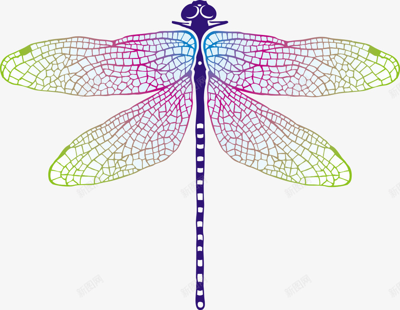 彩色漂亮的蜻蜓昆虫png免抠素材_新图网 https://ixintu.com 平面蜻蜓素材 彩色的蜻蜓 漂亮的昆虫 矢量的蜻蜓