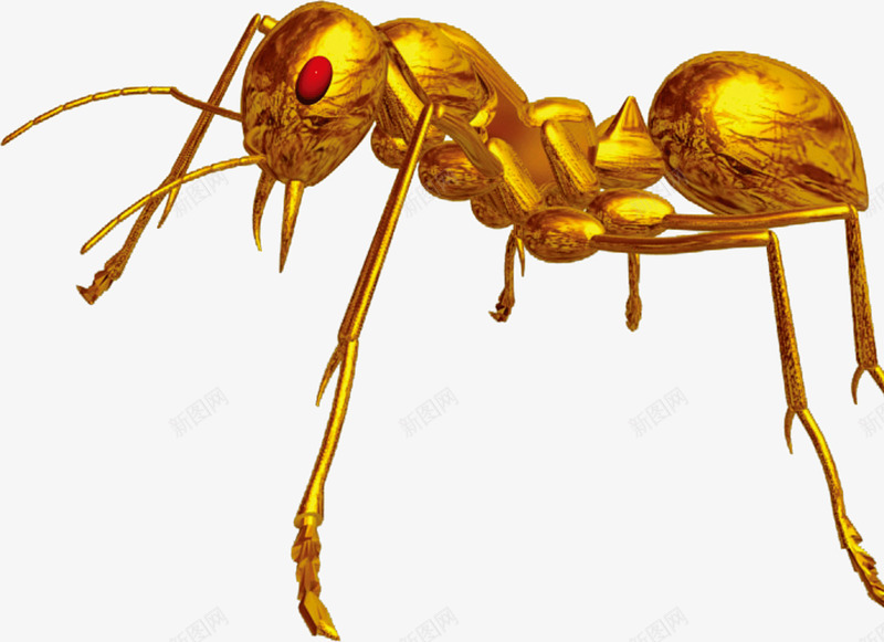 金色金属蚂蚁png免抠素材_新图网 https://ixintu.com 创意 蚂蚁 金属 金色
