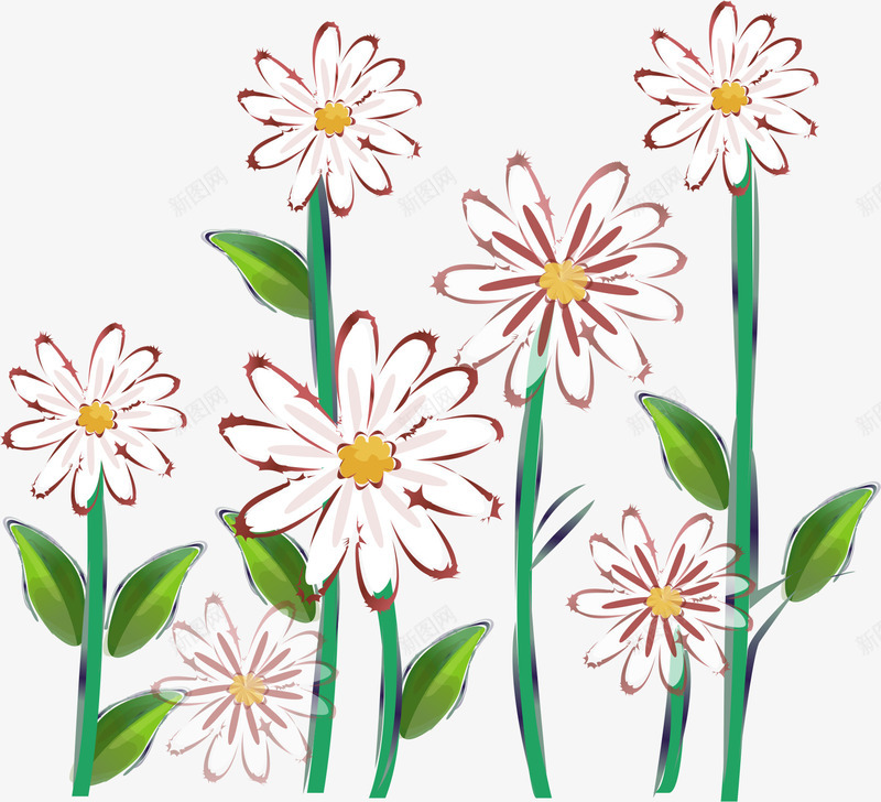 白色菊花png免抠素材_新图网 https://ixintu.com AI 卡通 底纹 手绘 白色 绿色 花卉 花朵 花边 菊花