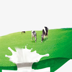 牛奶生产草原奶牛高清图片