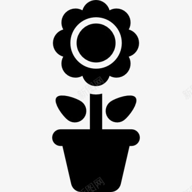 菊花盆栽图标图标