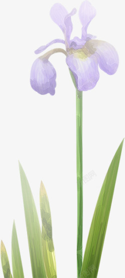 手绘紫色花朵模糊素材