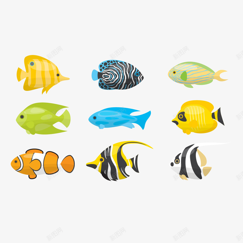 海洋鱼矢量图ai免抠素材_新图网 https://ixintu.com 个性鱼 彩色鱼 海洋生物 鱼儿 矢量图