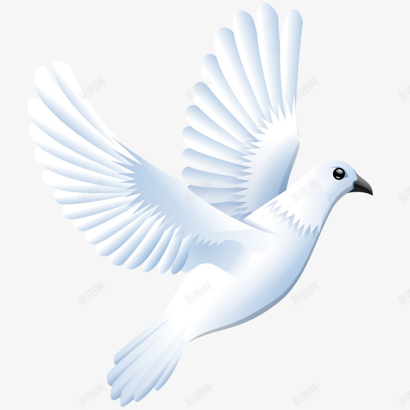 白色的鸽子png免抠素材_新图网 https://ixintu.com 小鸽子 漂亮的鸽子 白鸽子 鸽子