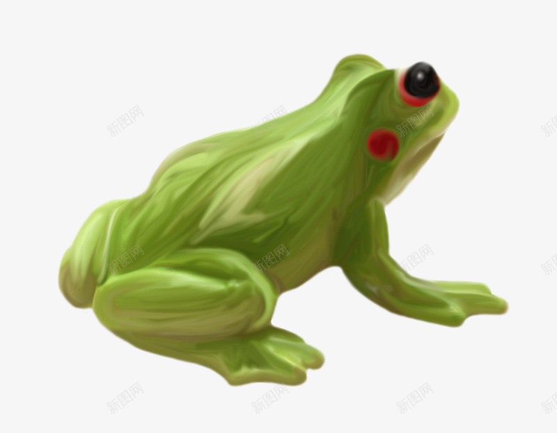 漂亮绿色青蛙png免抠素材_新图网 https://ixintu.com 漂亮青蛙 绿色青蛙 青蛙