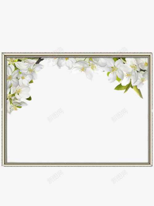 花卉边框png免抠素材_新图网 https://ixintu.com 好看的边框 小白花 漂亮的边框 白色的边框