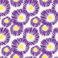 紫菊紫色野菊花壁纸背景矢量图高清图片