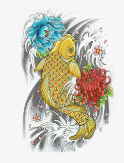 手绘菊花和金鲤鱼素材