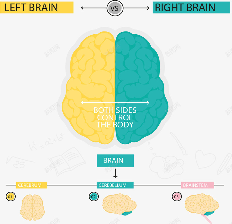 左右脑分类信息图表矢量图eps免抠素材_新图网 https://ixintu.com 人类大脑 信息图表 分类 大脑 对比 左右脑 矢量素材 矢量图