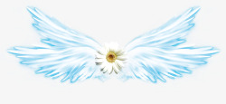 白色菊花蓝白色翅膀素材