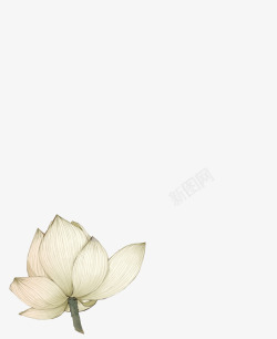 白色个性莲花角度手绘素材