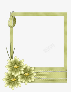 绿色菊花边框素材