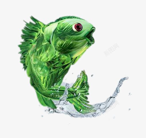 创意水中跳起的鱼png免抠素材_新图网 https://ixintu.com 免费png素材 广告 水花 绿色
