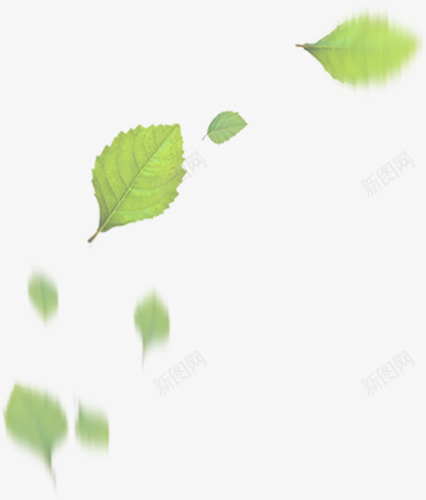 绿色模糊清新树叶装饰png免抠素材_新图网 https://ixintu.com 树叶 模糊 清新 绿色 装饰
