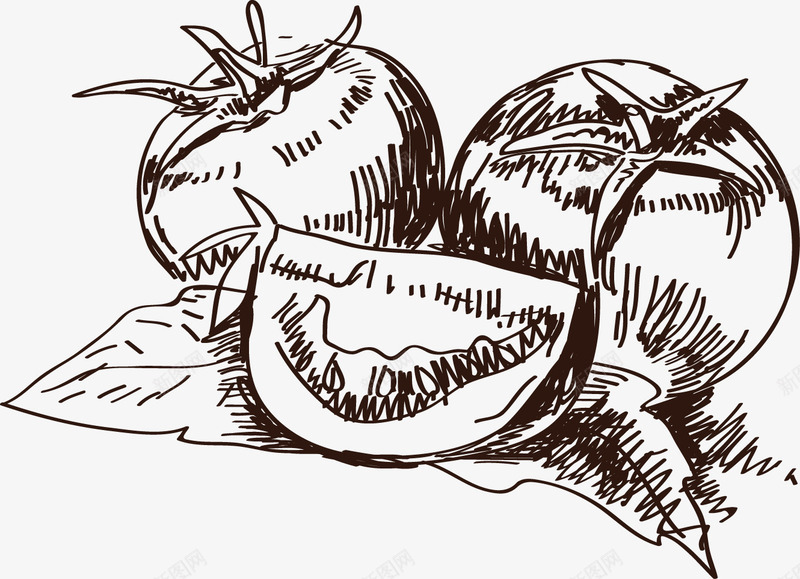 西红柿png免抠素材_新图网 https://ixintu.com 手绘画 手绘食物 插画 素描 线稿 速写 食物