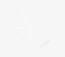 漂亮蜘蛛网漂亮白色蜘蛛网高清图片