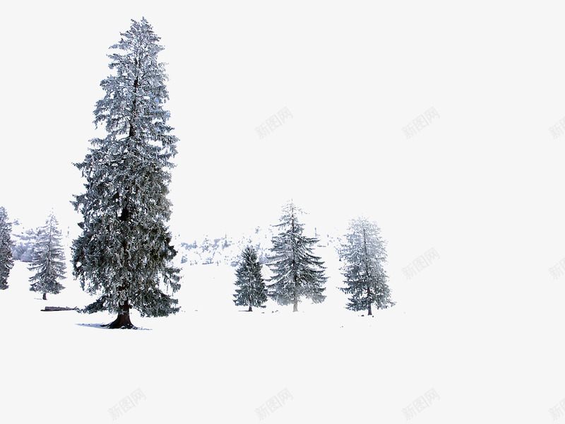 创意合成冬天的森林合成摄影png免抠素材_新图网 https://ixintu.com 冬天 创意 合成 摄影 森林