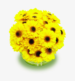 黄色菊花花束素材