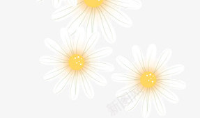 白色唯美模糊花朵春天png免抠素材_新图网 https://ixintu.com 春天 模糊 白色 花朵